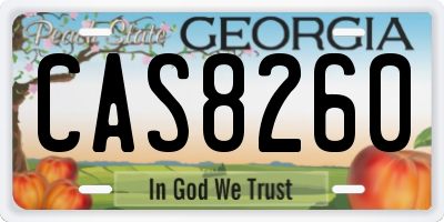 GA license plate CAS8260