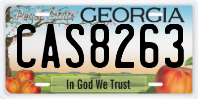 GA license plate CAS8263