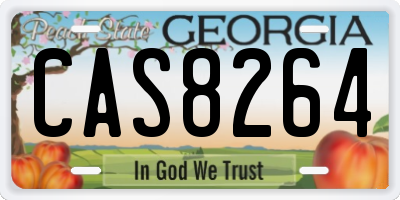 GA license plate CAS8264