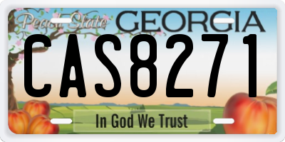 GA license plate CAS8271