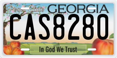 GA license plate CAS8280