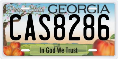 GA license plate CAS8286