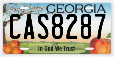 GA license plate CAS8287