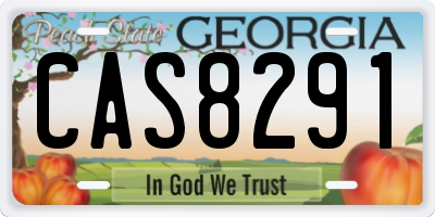 GA license plate CAS8291