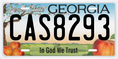 GA license plate CAS8293