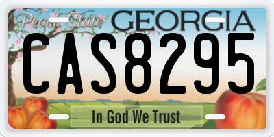 GA license plate CAS8295