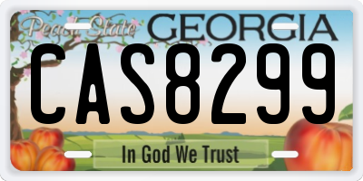 GA license plate CAS8299