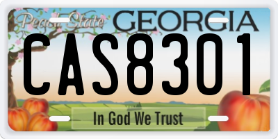 GA license plate CAS8301