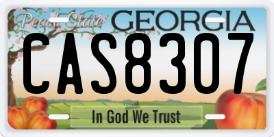 GA license plate CAS8307