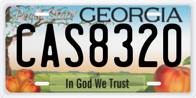 GA license plate CAS8320