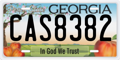 GA license plate CAS8382