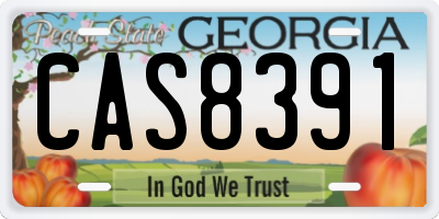 GA license plate CAS8391