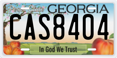 GA license plate CAS8404