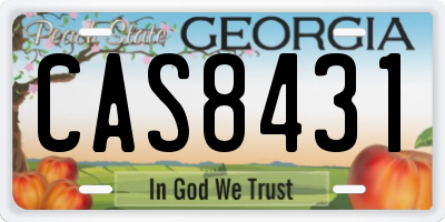 GA license plate CAS8431