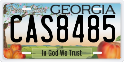 GA license plate CAS8485