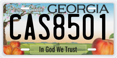 GA license plate CAS8501