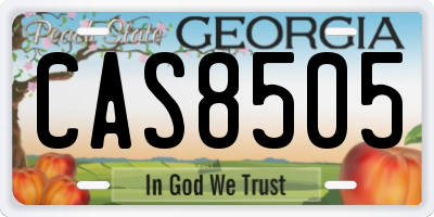 GA license plate CAS8505