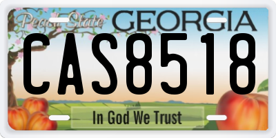 GA license plate CAS8518
