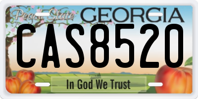 GA license plate CAS8520