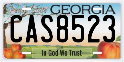 GA license plate CAS8523