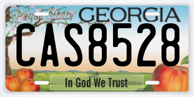 GA license plate CAS8528