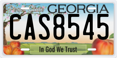 GA license plate CAS8545
