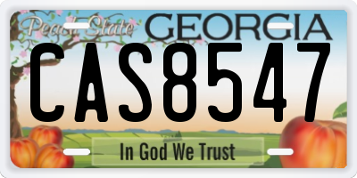 GA license plate CAS8547