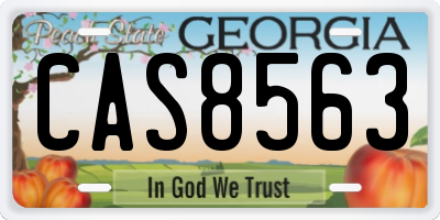 GA license plate CAS8563