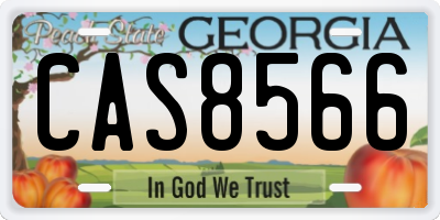 GA license plate CAS8566