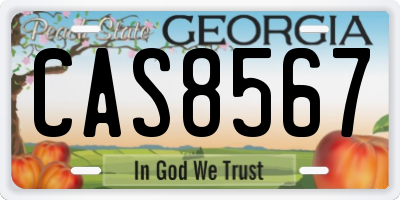 GA license plate CAS8567