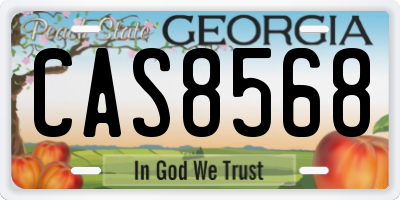 GA license plate CAS8568
