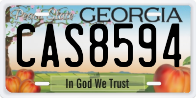GA license plate CAS8594