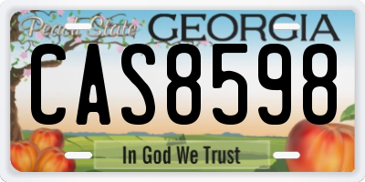 GA license plate CAS8598