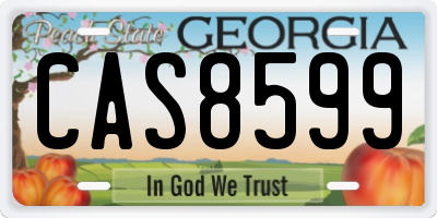 GA license plate CAS8599