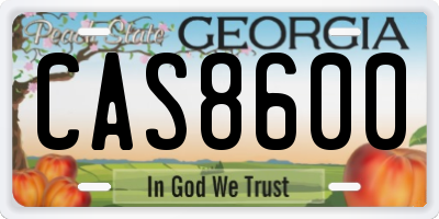 GA license plate CAS8600