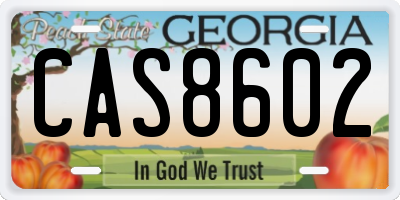 GA license plate CAS8602