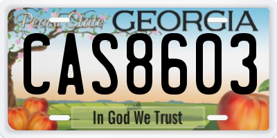 GA license plate CAS8603