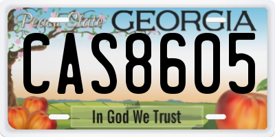 GA license plate CAS8605