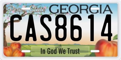 GA license plate CAS8614