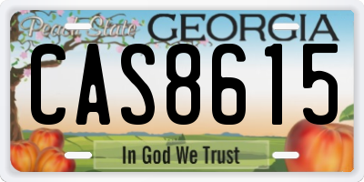 GA license plate CAS8615