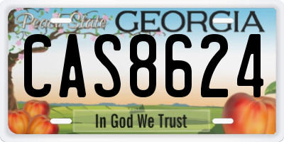 GA license plate CAS8624