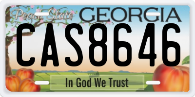 GA license plate CAS8646