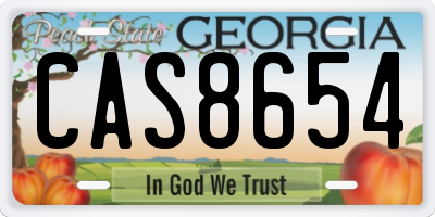 GA license plate CAS8654