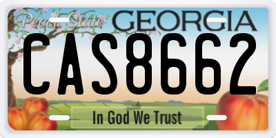 GA license plate CAS8662