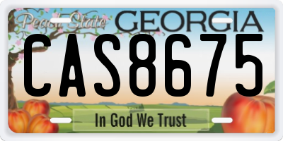 GA license plate CAS8675