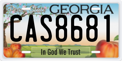 GA license plate CAS8681