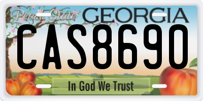 GA license plate CAS8690