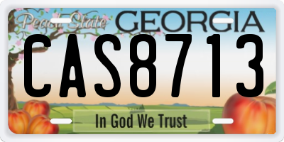 GA license plate CAS8713