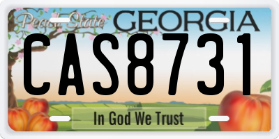 GA license plate CAS8731