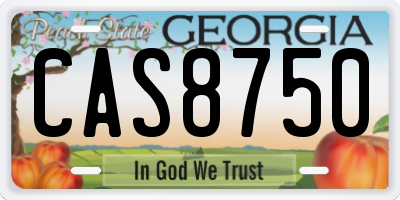 GA license plate CAS8750